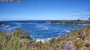 ./images/calvert/foggy-cove/20260606/foggy-cove20260606_130001M.jpg