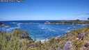 ./images/calvert/foggy-cove/20260606/foggy-cove20260606_131001M.jpg