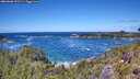 ./images/calvert/foggy-cove/20260606/foggy-cove20260606_131501M.jpg