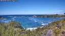 ./images/calvert/foggy-cove/20260606/foggy-cove20260606_132002M.jpg