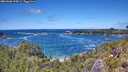 ./images/calvert/foggy-cove/20260606/foggy-cove20260606_134501M.jpg