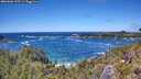 ./images/calvert/foggy-cove/20260606/foggy-cove20260606_135501M.jpg