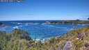 ./images/calvert/foggy-cove/20260606/foggy-cove20260606_140002M.jpg