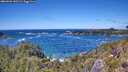 ./images/calvert/foggy-cove/20260606/foggy-cove20260606_140501M.jpg
