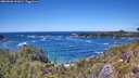 ./images/calvert/foggy-cove/20260606/foggy-cove20260606_141001M.jpg