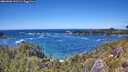 ./images/calvert/foggy-cove/20260606/foggy-cove20260606_141501M.jpg