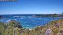 ./images/calvert/foggy-cove/20260606/foggy-cove20260606_142501M.jpg