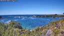 ./images/calvert/foggy-cove/20260606/foggy-cove20260606_143001M.jpg