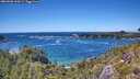 ./images/calvert/foggy-cove/20260606/foggy-cove20260606_144501M.jpg