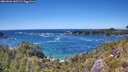 ./images/calvert/foggy-cove/20260606/foggy-cove20260606_145501M.jpg