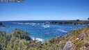 ./images/calvert/foggy-cove/20260606/foggy-cove20260606_152541M.jpg