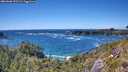 ./images/calvert/foggy-cove/20260606/foggy-cove20260606_153501M.jpg