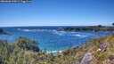 ./images/calvert/foggy-cove/20260606/foggy-cove20260606_155002M.jpg