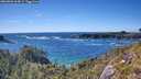 ./images/calvert/foggy-cove/20260606/foggy-cove20260606_164501M.jpg