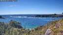 ./images/calvert/foggy-cove/20260606/foggy-cove20260606_165501M.jpg