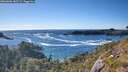 ./images/calvert/foggy-cove/20260606/foggy-cove20260606_181501M.jpg