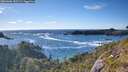 ./images/calvert/foggy-cove/20260606/foggy-cove20260606_182501M.jpg