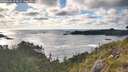 ./images/calvert/foggy-cove/20260606/foggy-cove20260606_194001M.jpg