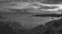 ./images/calvert/foggy-cove/20260607/foggy-cove20260607_043002M.jpg