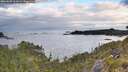./images/calvert/foggy-cove/20260607/foggy-cove20260607_062001M.jpg