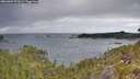 ./images/calvert/foggy-cove/20260607/foggy-cove20260607_071001M.jpg