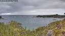./images/calvert/foggy-cove/20260607/foggy-cove20260607_071501M.jpg