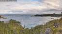 ./images/calvert/foggy-cove/20260607/foggy-cove20260607_075001M.jpg
