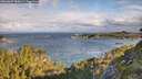 ./images/calvert/foggy-cove/20260607/foggy-cove20260607_080001M.jpg