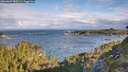 ./images/calvert/foggy-cove/20260607/foggy-cove20260607_080501M.jpg
