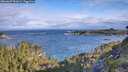 ./images/calvert/foggy-cove/20260607/foggy-cove20260607_081001M.jpg