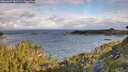 ./images/calvert/foggy-cove/20260607/foggy-cove20260607_081501M.jpg