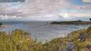 ./images/calvert/foggy-cove/20260607/foggy-cove20260607_083001M.jpg