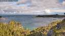./images/calvert/foggy-cove/20260607/foggy-cove20260607_083502M.jpg