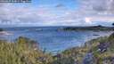 ./images/calvert/foggy-cove/20260607/foggy-cove20260607_084002M.jpg