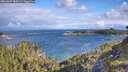 ./images/calvert/foggy-cove/20260607/foggy-cove20260607_084502M.jpg