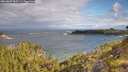 ./images/calvert/foggy-cove/20260607/foggy-cove20260607_085501M.jpg