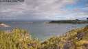 ./images/calvert/foggy-cove/20260607/foggy-cove20260607_090001M.jpg