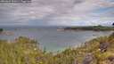 ./images/calvert/foggy-cove/20260607/foggy-cove20260607_090501M.jpg
