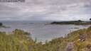 ./images/calvert/foggy-cove/20260607/foggy-cove20260607_091001M.jpg