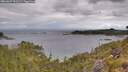 ./images/calvert/foggy-cove/20260607/foggy-cove20260607_091501M.jpg