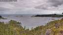 ./images/calvert/foggy-cove/20260607/foggy-cove20260607_092001M.jpg