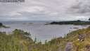 ./images/calvert/foggy-cove/20260607/foggy-cove20260607_093001M.jpg