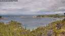 ./images/calvert/foggy-cove/20260607/foggy-cove20260607_094501M.jpg