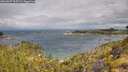 ./images/calvert/foggy-cove/20260607/foggy-cove20260607_095001M.jpg