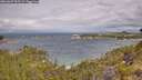 ./images/calvert/foggy-cove/20260607/foggy-cove20260607_095501M.jpg