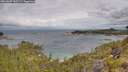 ./images/calvert/foggy-cove/20260607/foggy-cove20260607_100501M.jpg