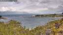 ./images/calvert/foggy-cove/20260607/foggy-cove20260607_101501M.jpg