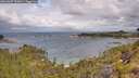 ./images/calvert/foggy-cove/20260607/foggy-cove20260607_102001M.jpg