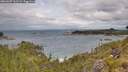./images/calvert/foggy-cove/20260607/foggy-cove20260607_102502M.jpg