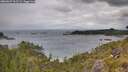 ./images/calvert/foggy-cove/20260607/foggy-cove20260607_103501M.jpg